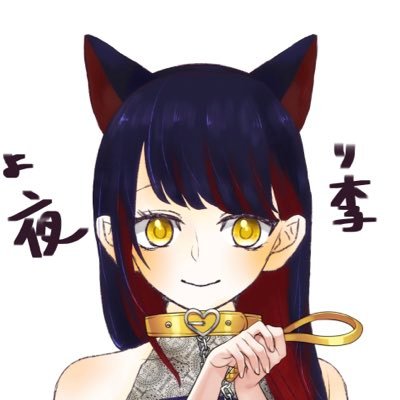 めちゃくちゃ低浮上な夜李🌌💎さんのプロフィール画像