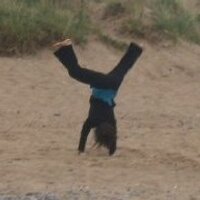 Cerys (@panderys83) 's Twitter Profile Photo Cerys (@panderys83) 's Twitter Profile Photo