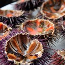 Libby Travers - @libbytravers - Twitter