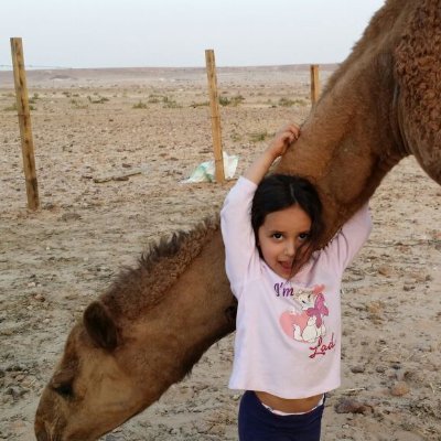 الذي خلق الموت والحياة ليبلوكم أيكم احسن عملا
كثر الفساد في البر والبحر بما كسبت أيدي
الناس
كل داء له دواء الا السام
المعدة بيت الداء والحمية رأس كل دواء