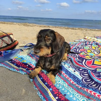 crisserradell's profile picture. Comunicòloga, apassionada per entendre i fer-me preguntes