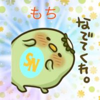もち (@mochi355) 's Twitter Profile