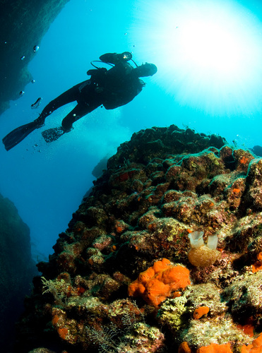 adventurediver1's profile picture. We`re a fun, friendly & welcoming team here in Al Aqah Rotana Resort&RAK Hilton Resort,who believe in small groups and personal services.