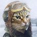 IDD64 (@idd64) Twitter profile photo