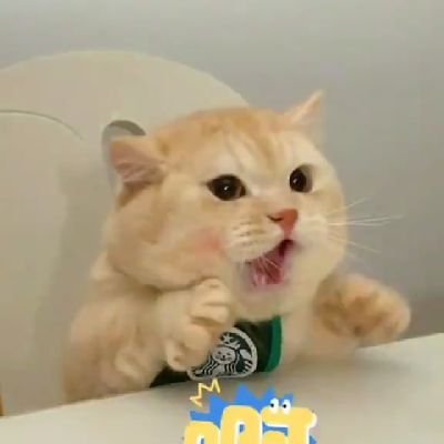 ninNin_1234's profile picture. ....