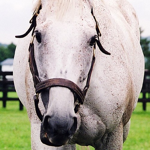 J_Big_Bang's profile picture. 全ては独り言