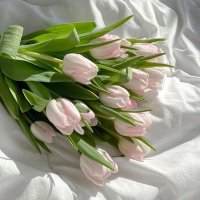 صدقة جارية لـ هاشل الشامسي . (@1hashl_alshamsi) 's Twitter Profile Photo صدقة جارية لـ هاشل الشامسي . (@1hashl_alshamsi) 's Twitter Profile Photo