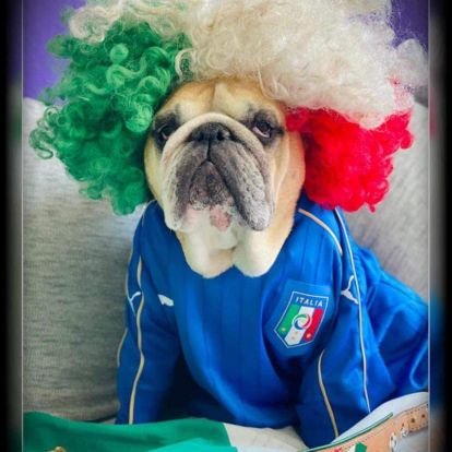 CardinaliGisele's profile picture. 