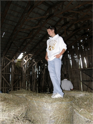 Pich066's profile picture. 