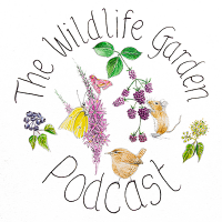 The Wildlife Garden Podcast(@thewildgdn) 's Twitter Profile Photo