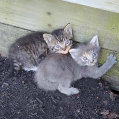 jessica38013209's profile picture. All on God’s Grace