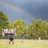 WAVERLY TIGERS BASEBALL