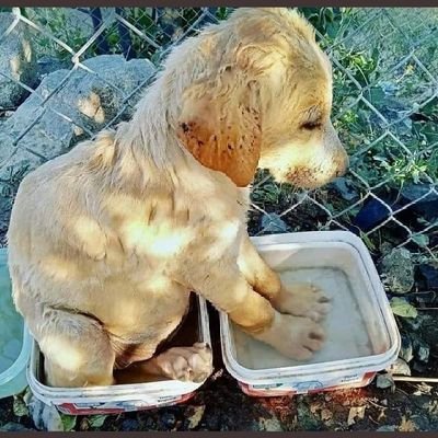 Merve20369549's profile picture. 