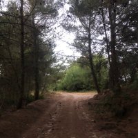 eren kaya (@eren42481278) Twitter profile photo