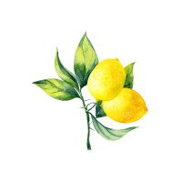 polycultured (@polycultured) 's Twitter Profile