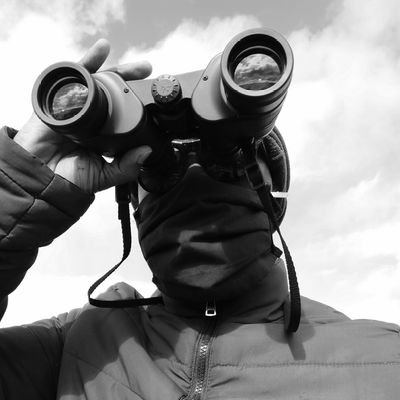 soar_sayensii's profile picture. 