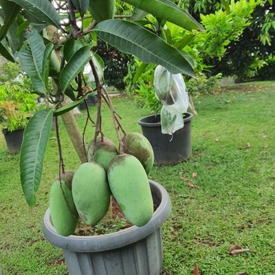 21_jrf's profile picture. 