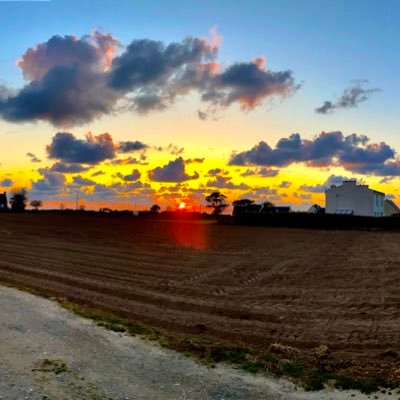 bibochee's profile picture. 