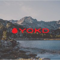 yokd (@yokdfitnss) 's Twitter Profile