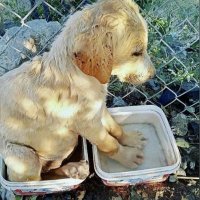 Beyhan Atalay #evdekal🏡 (@naz_beyhan) 's Twitter Profile Photo