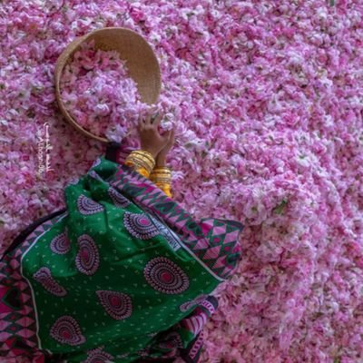 hysthoerical's profile picture. You belong where u r love 🍕🍕🍕