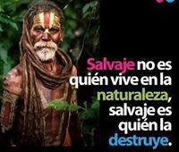 Papá de Greymig, soñador y amante de la familia , la naturaleza ,el universo 😊🇻🇪🌎 con Dios todo sin el nada...✴