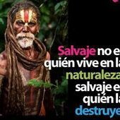Salvati... (@salvatimiguelms) 's Twitter Profile