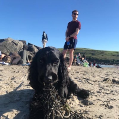 ColmOMahony95's profile picture. It's the early bird that gets the worm, but its the second mouse that gets the cheese