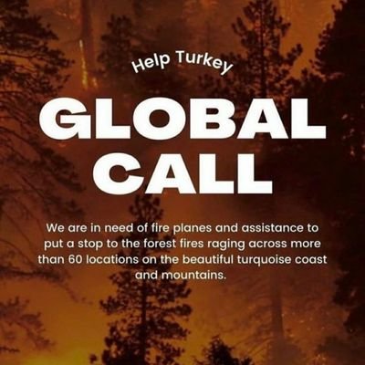 Helpturkey19's profile picture. #helpturkey