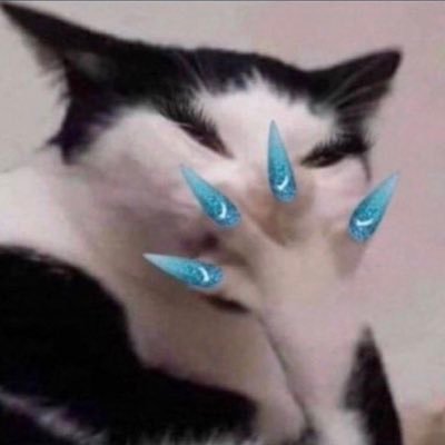 xsrnh's profile picture. 