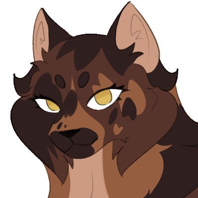 coyさんのプロフィール画像