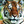 Onondaga Junior-Senior High School (@OCSJrSrHS) profile picture
