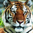 OCSJrSrHS's profile image