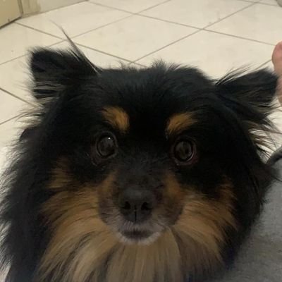 matthnrq1991's profile picture. tenho medo de palhaços