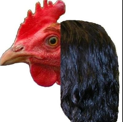 Chicken_Perm31 Profile Picture