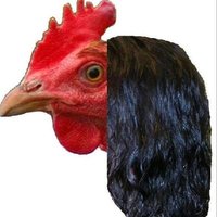 ChickenPerm (@chicken_perm31) 's Twitter Profile Photo ChickenPerm (@chicken_perm31) 's Twitter Profile Photo