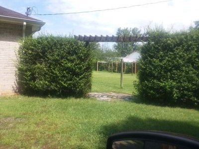 EllenJordanP's profile picture. 