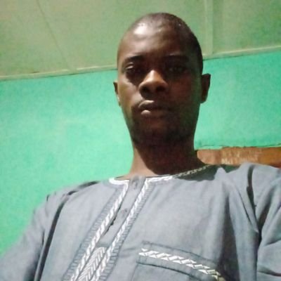 DialloAIbrahim2's profile picture. Guineen