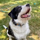 Joanne McKinnon - @McKinnonJoanne - Twitter