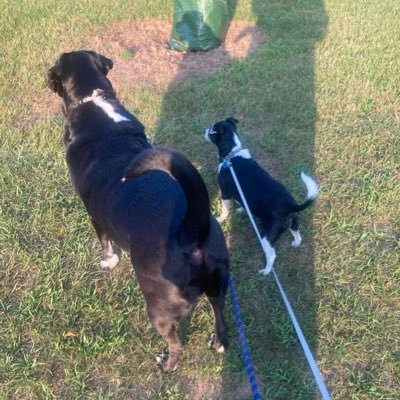 JohnAlbersJr's profile picture. 