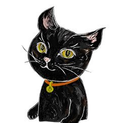 Kaji Yocoかじよこさんのプロフィール画像