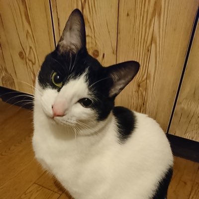 たけむさ 2y 36w على تويتر コロンの匂いいまだに覚えてるし マニキュアなくなってからは水のり入れてマニキュアごっこして遊んでた思い出 引出しとか扉にはお気に入りのサン宝石のアクセ入れてたな 昭和60年代生まれ たけむさ 2y 36w على تويتر コロンの匂いいまだに覚えてるし マニキュアなくなってからは水のり入れてマニキュアごっこして遊んでた思い出 引出しとか扉にはお気に入りのサン宝石のアクセ入れてたな 昭和60年代生まれ