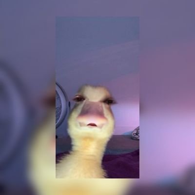 heyyitssretaa's profile picture. 