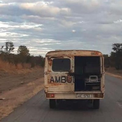 alex_musheche's profile picture. Analytical