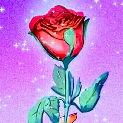 Yaneth21479430's profile picture. todo