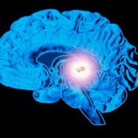 Pineal Gland (@illuminatiscum) 's Twitter Profile Photo Pineal Gland (@illuminatiscum) 's Twitter Profile Photo