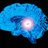 Pineal Gland
