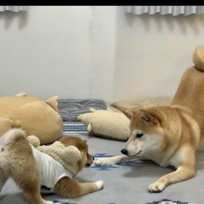 abitmock's profile picture. be fine.