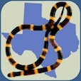 Mobile app developer specializing in building snake identification field guides and anything else I feel like!