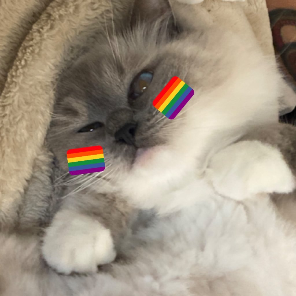 bobby59859062's profile picture. sniff sniff i smeel gay. rip peepee❤️